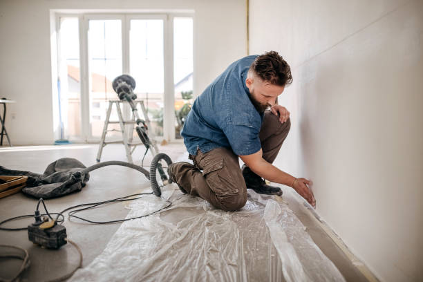 Best Drywall Removal and Disposal  in Shoh, IL